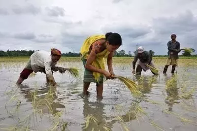 एग्रोकेमिकल इंडस्ट्री को मिल रहा मेक इन इंडिया का फायदा, अगले 4 वर्षों में 80,000 करोड़ रुपये के पार जा सकता है निर्यात