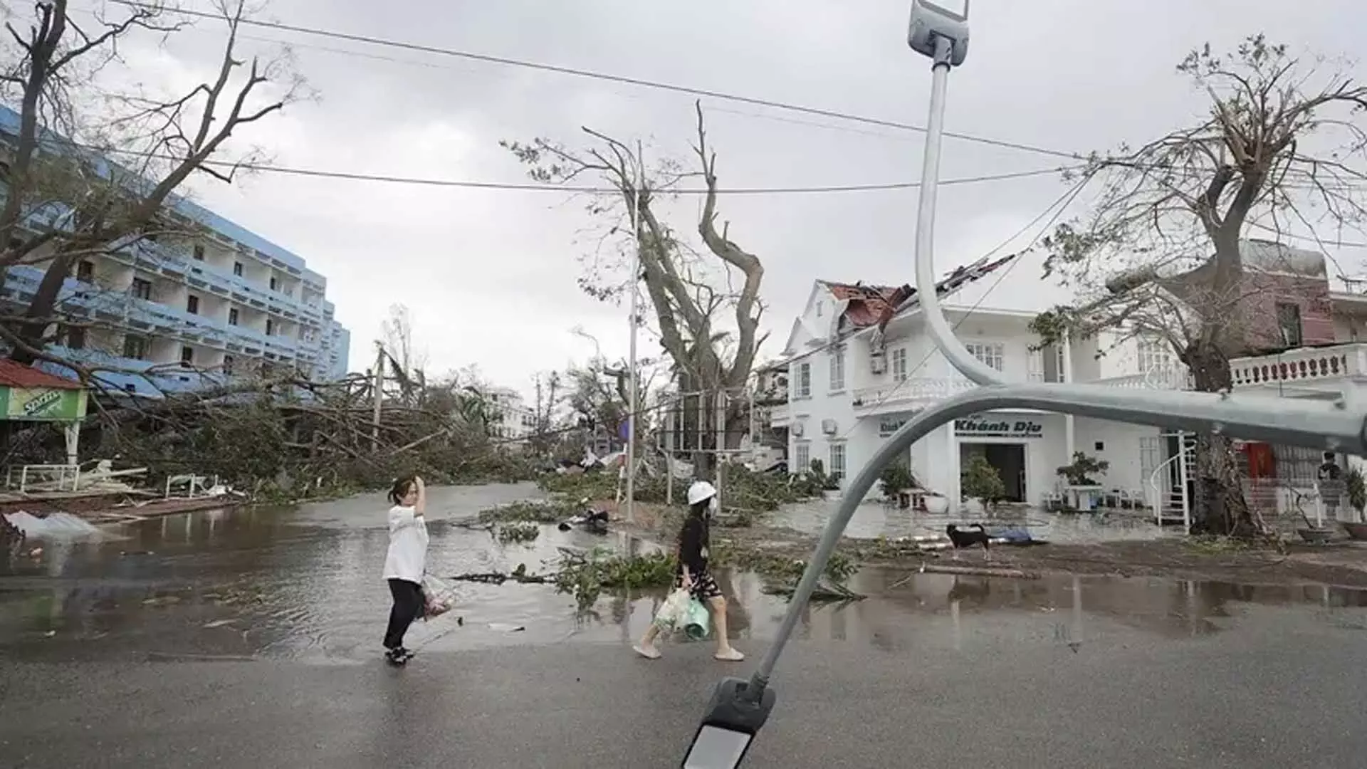 Typhoon Yagi: वियतनाम में तूफान से मरने वालों की संख्या 87 हुई, 70 लोग लापता