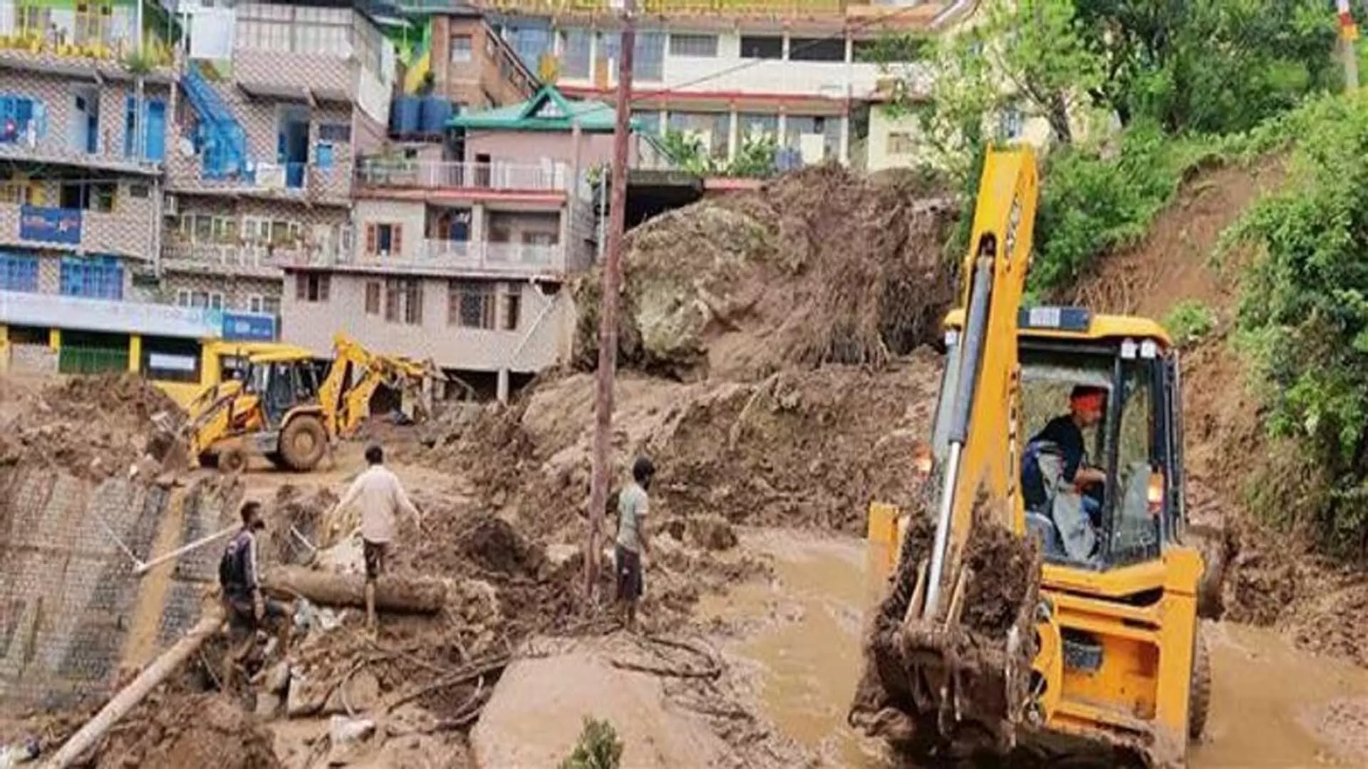 Himachal Pradesh भूस्खलन रोकने के लिए वेटिवर घास का उपयोग करेगा