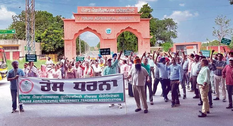 Punjab कृषि विश्वविद्यालय शिक्षक संघ ने निकाली गेट रैली