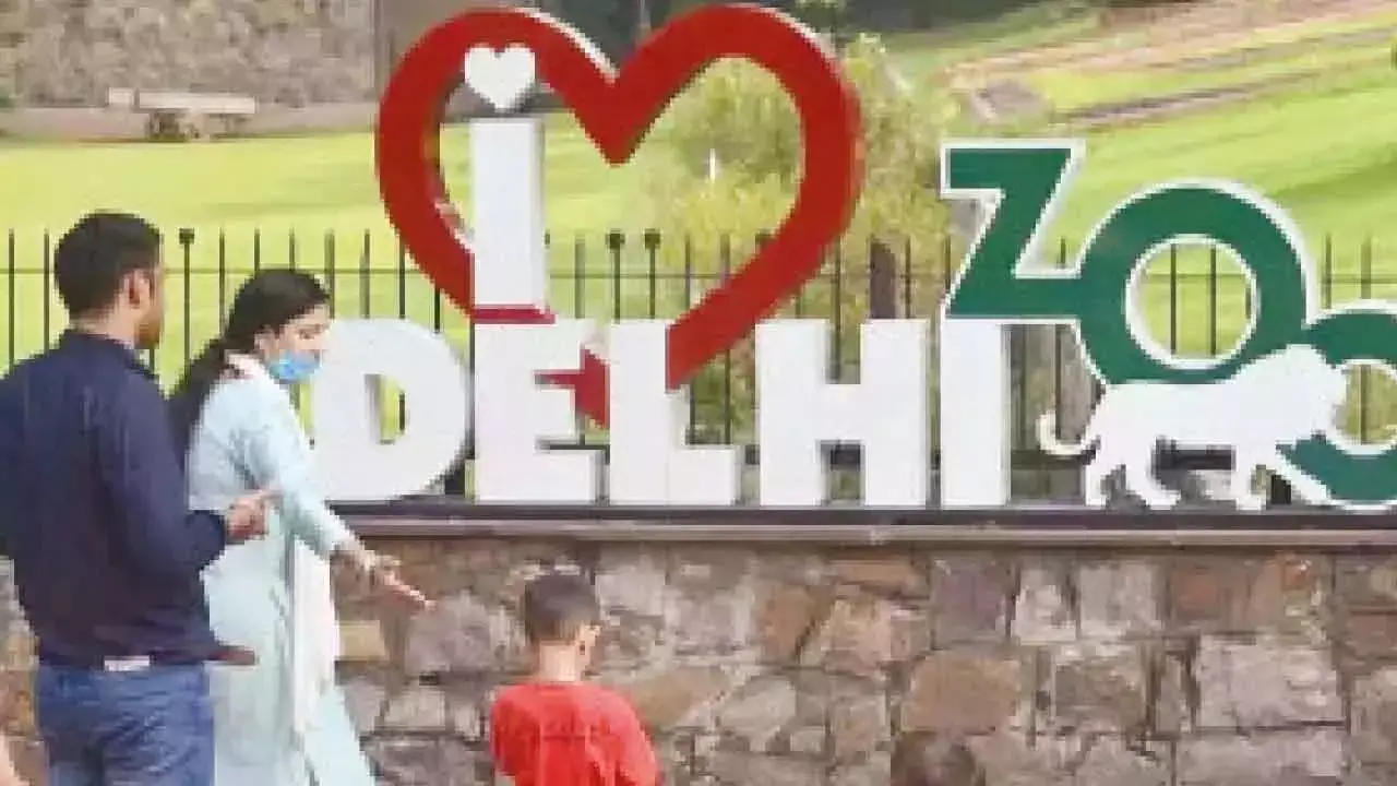 Delhi: चिड़ियाघर में जानवरों की संख्या बढ़ाने की योजना