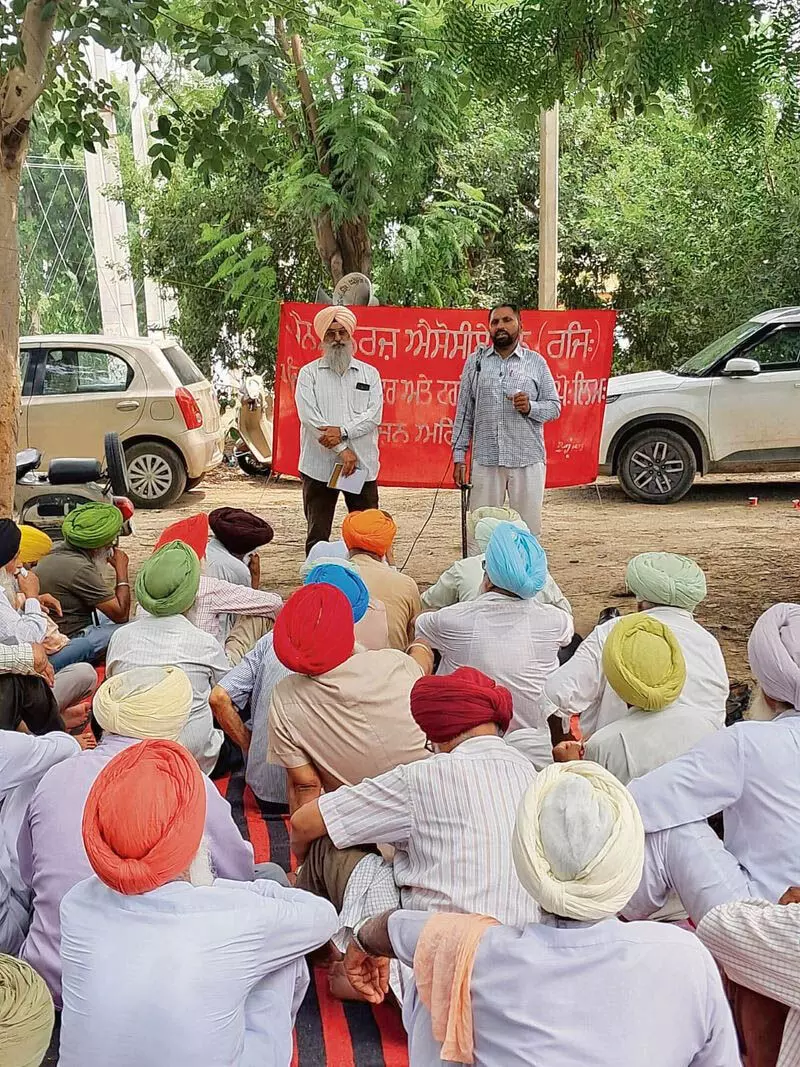 Punjab: बिजली कंपनी के कर्मचारियों के सामूहिक अवकाश पर जाने से काम प्रभावित