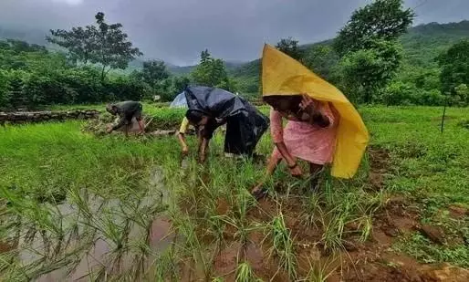 Raithu Sangham ने बारिश से प्रभावित किसानों के लिए सरकार से सहायता की अपील की