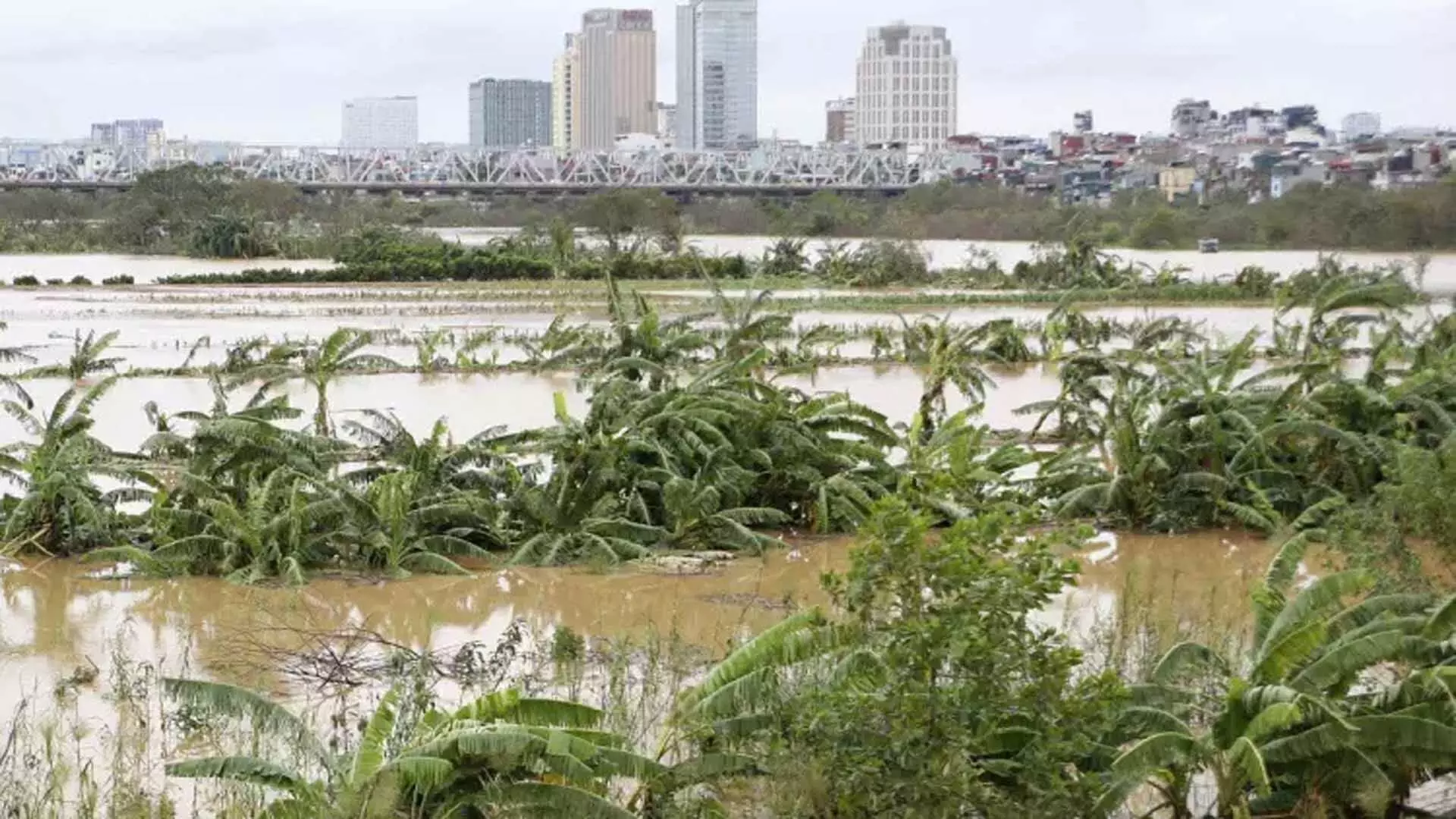 Vietnam में बाढ़ ने कई गांव बहा दिए, तूफान से मरने वालों की संख्या 141 हुई