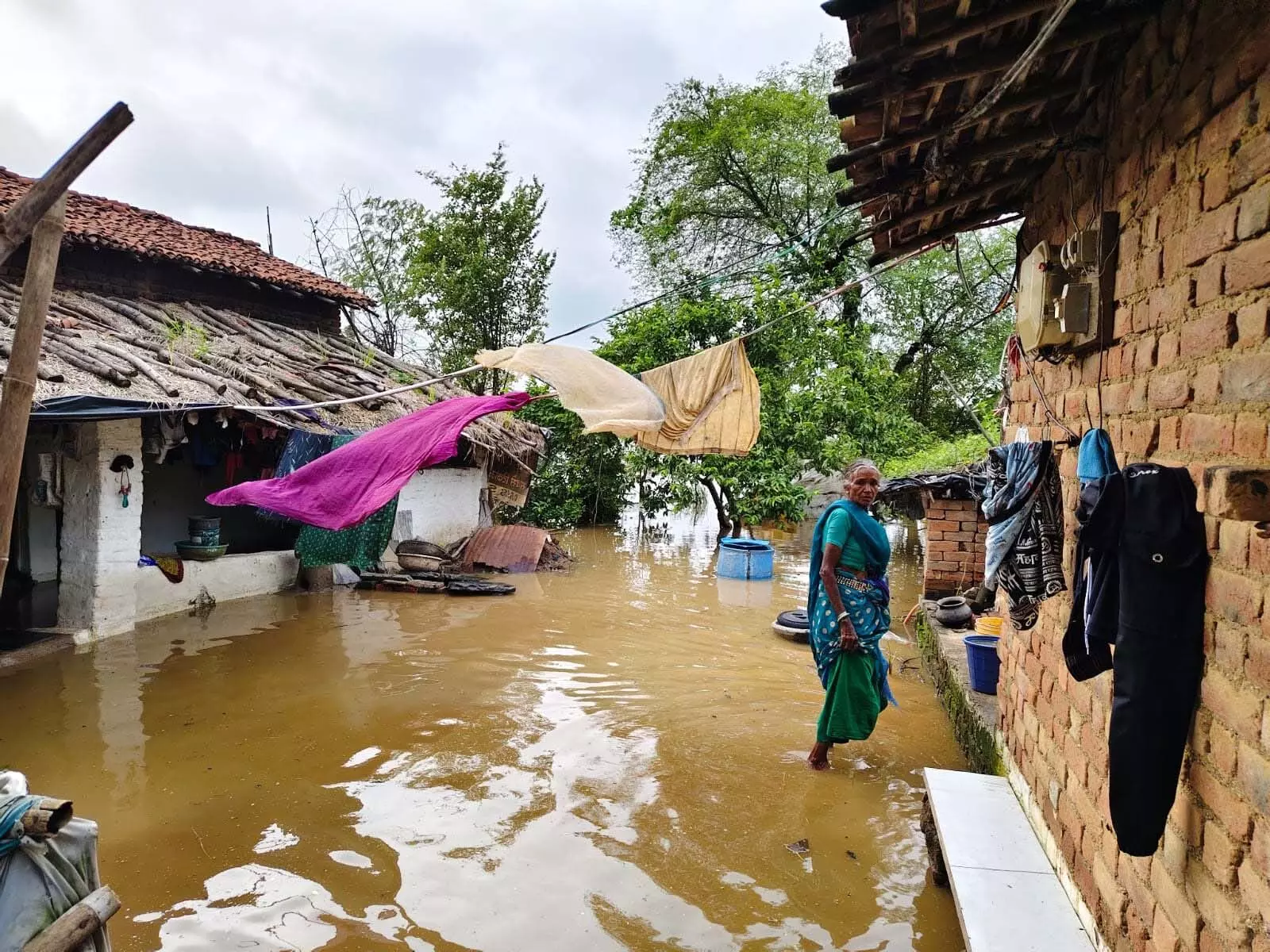 Collector ने ग्राम बांकल में बाढ़ प्रभावित क्षेत्रों में राहत कार्यों का लिया जायजा