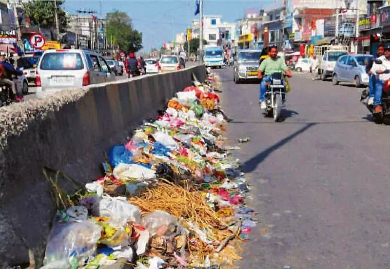 Haryana : हमारे पाठक क्या कहते हैं नरवाना में सड़क किनारे फेंका जा रहा कूड़ा