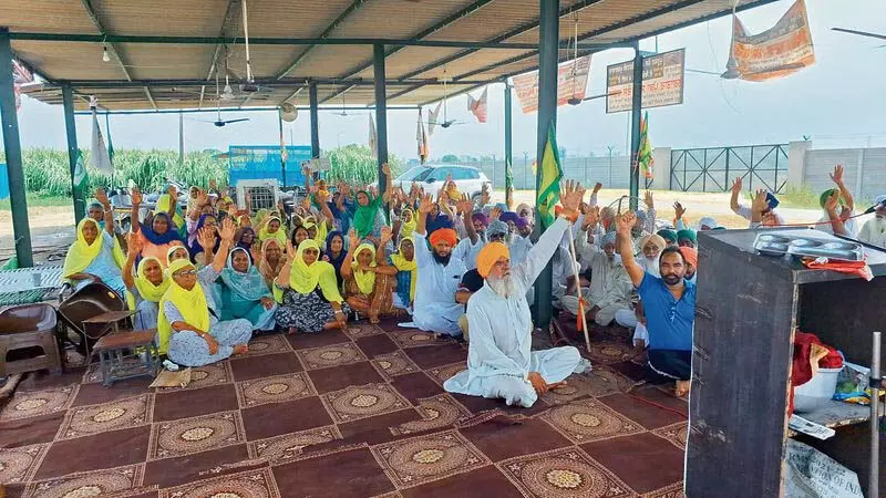 Punjab: संपीड़ित बायोगैस संयंत्रों के मुद्दे की जांच के लिए विशेषज्ञ पैनल गठित