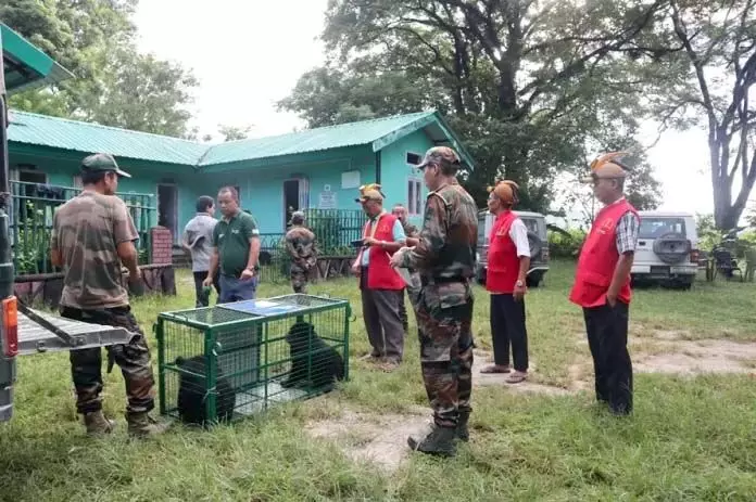 Arunachal : एशियाई भालू के बच्चों को छोड़ने की प्रक्रिया जारी