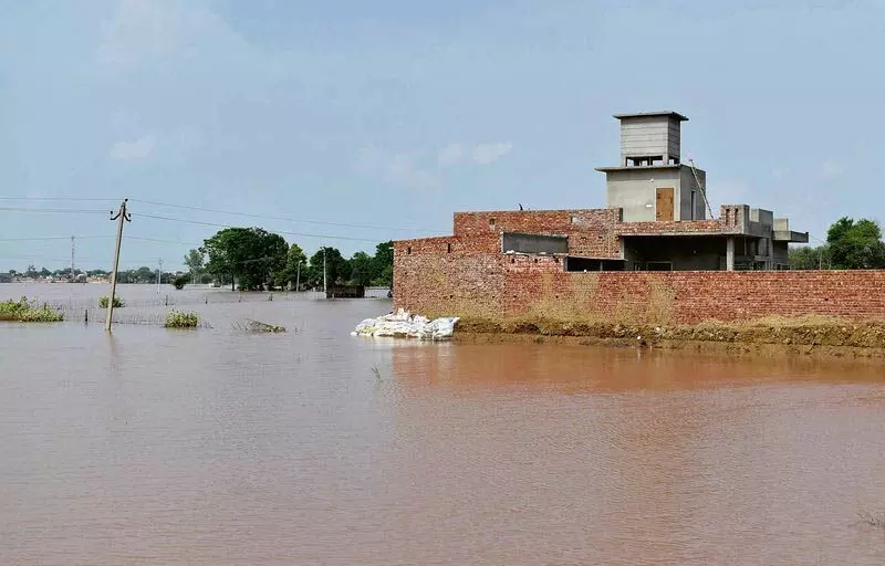 Punjab: बाढ़ को रोकने के लिए घग्गर नदी के किनारे जल निकाय बनाए जाएंगे