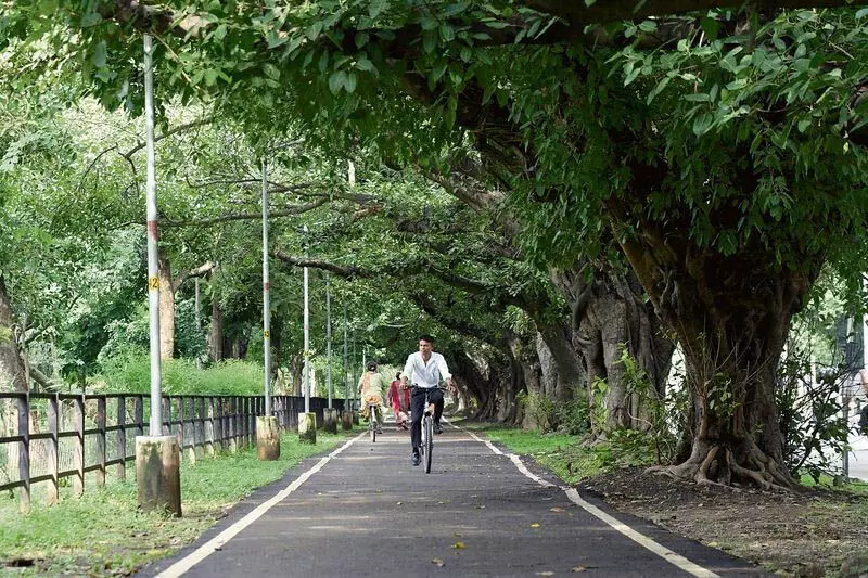 Chandigarh: नगर निगम क्षेत्राधिकार के अंतर्गत अधिकांश पेड़ों पर जियो-टैग लगाए गए