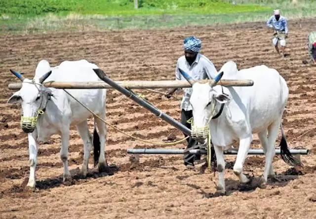 Odisha: पांच पूर्वी राज्यों से पशुधन उत्पादन बढ़ाने का आग्रह