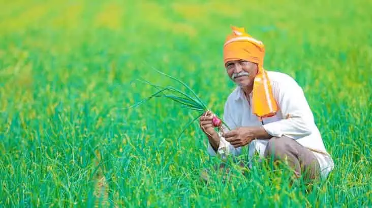 प्रधानमंत्री के किसान हितैषी फैसलों का लाभ छत्तीसगढ़ के किसानों को भी मिलेगा