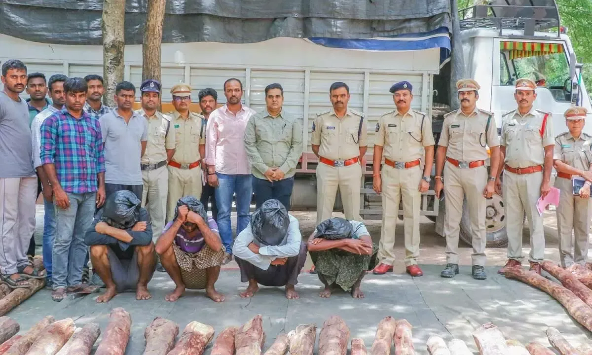 लाल चंदन की 54 लकड़ियां जब्त, 4 तस्कर Arrested