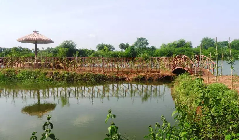 प्रकृति प्रेमियों का स्वर्ग Gandhari Vanam अधिकारियों का ध्यान आकर्षित करने की मांग कर रहा