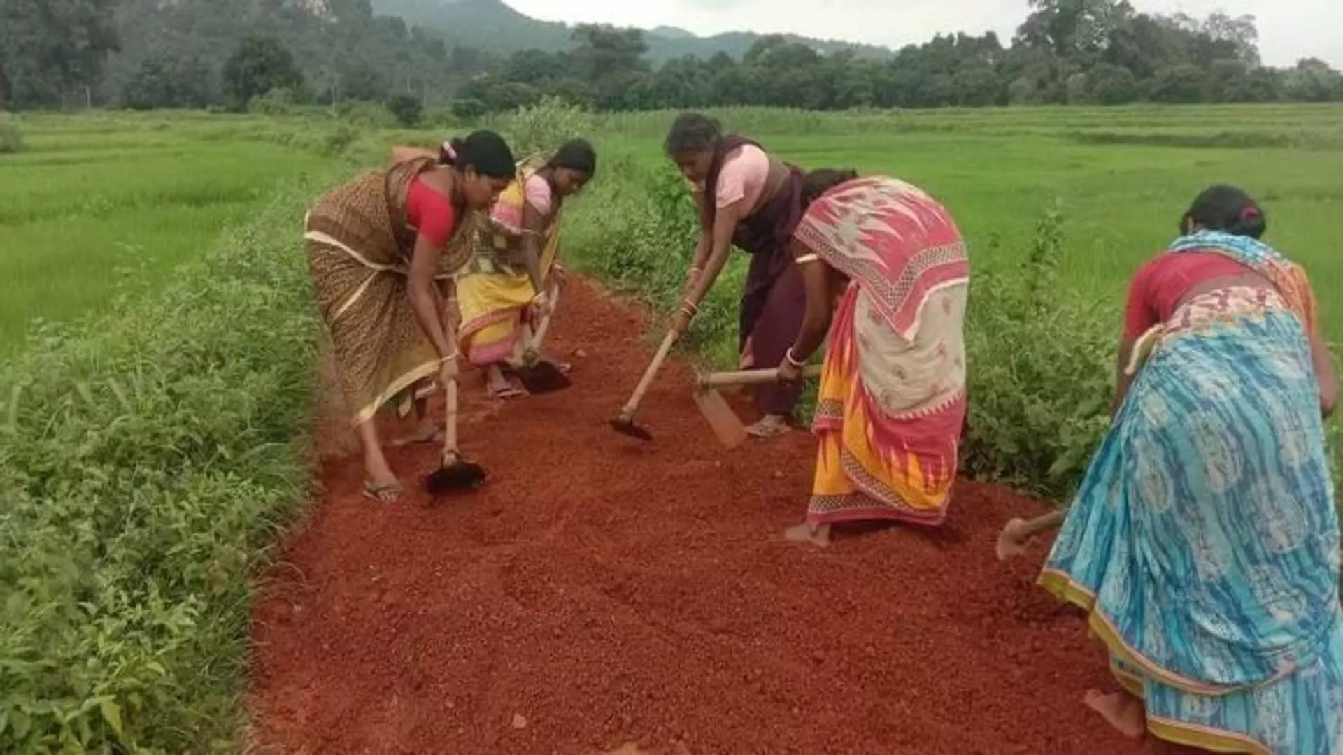 Keonjhar: महिला स्वयं सहायता समूह सदस्यों ने गांव में सड़क का निर्माण किया