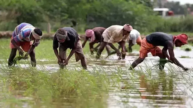 Jaipur: युवा किसानों को मिलेगा विदेशों में प्रशिक्षण, 25 सितम्बर तक ऑनलाइन आवेदन