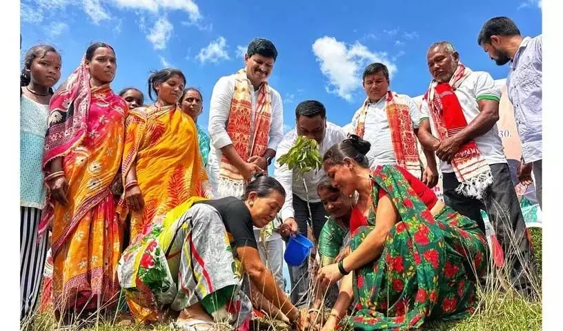 2030 तक असम में एक करोड़ पौधे लगाए जाएंगे