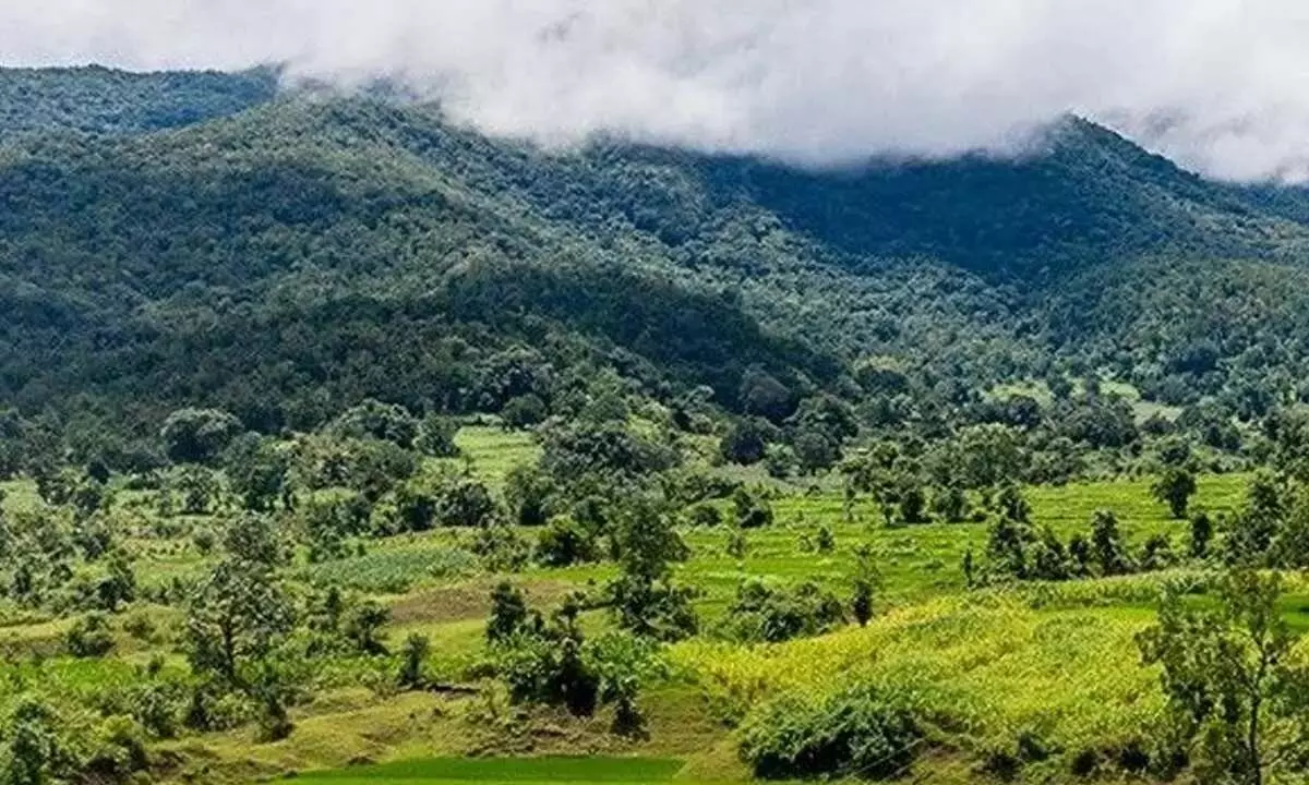 Berhampur University पूर्वी घाट में मानव-पशु संघर्ष का अध्ययन करेगा