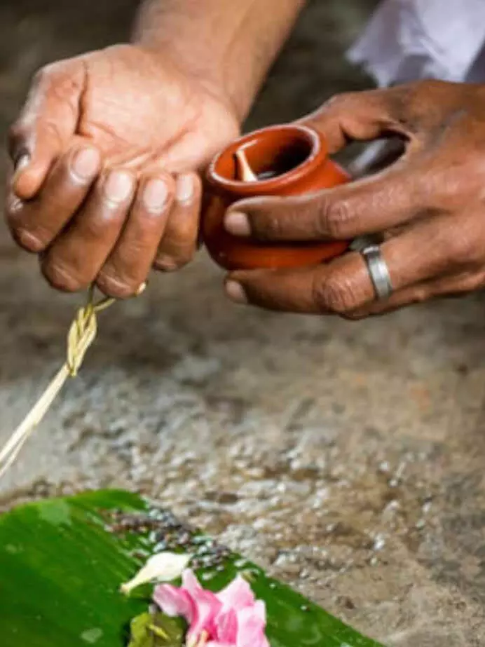 इनके बिना पितृ पक्ष अधूरा होगा