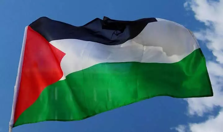 सड़कों पर Palestinian झंडा लहराने पर 4 नाबालिग हिरासत में