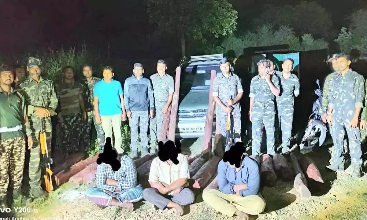 तीन तस्कर Arrested; लाल चंदन की 38 लकड़ियां बरामद