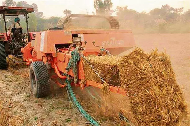 पराली जलाने की समस्या से निपटने के लिए Punjab सरकार ने हरित ईंधन पहल को आगे बढ़ाया