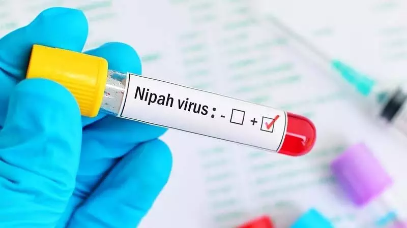 Nipah Virus: कर्नाटक ने निगरानी उपाय बढ़ाए