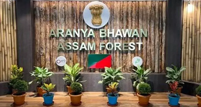 Assam  वन विभाग में बड़ा फेरबदल; 8 आईएफएस, एएफएस अधिकारियों का तबादला