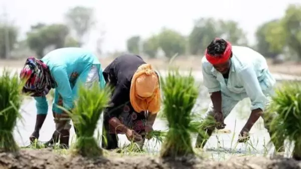 Bharatpur: नॉलेज एन्हांसमेंट कार्यक्रम के तहत प्रशिक्षण हेतु किसान 25 सितंबर आवेदन