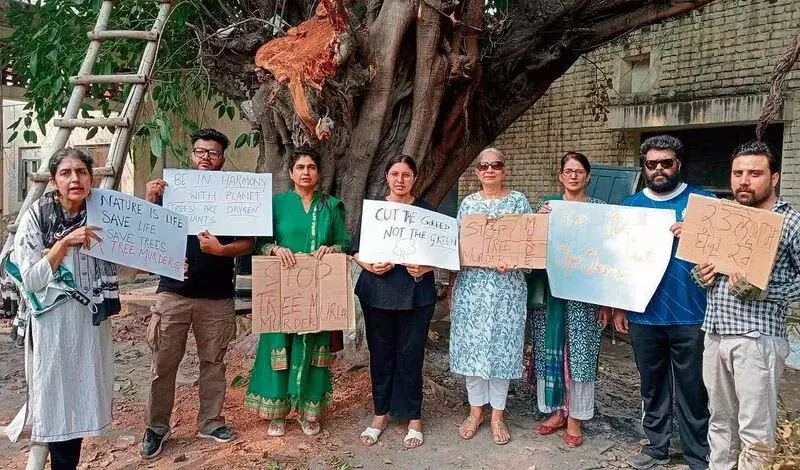 कार्यकर्ताओं ने CS कार्यालय पर विरासत के पेड़ों को काटे जाने का विरोध किया