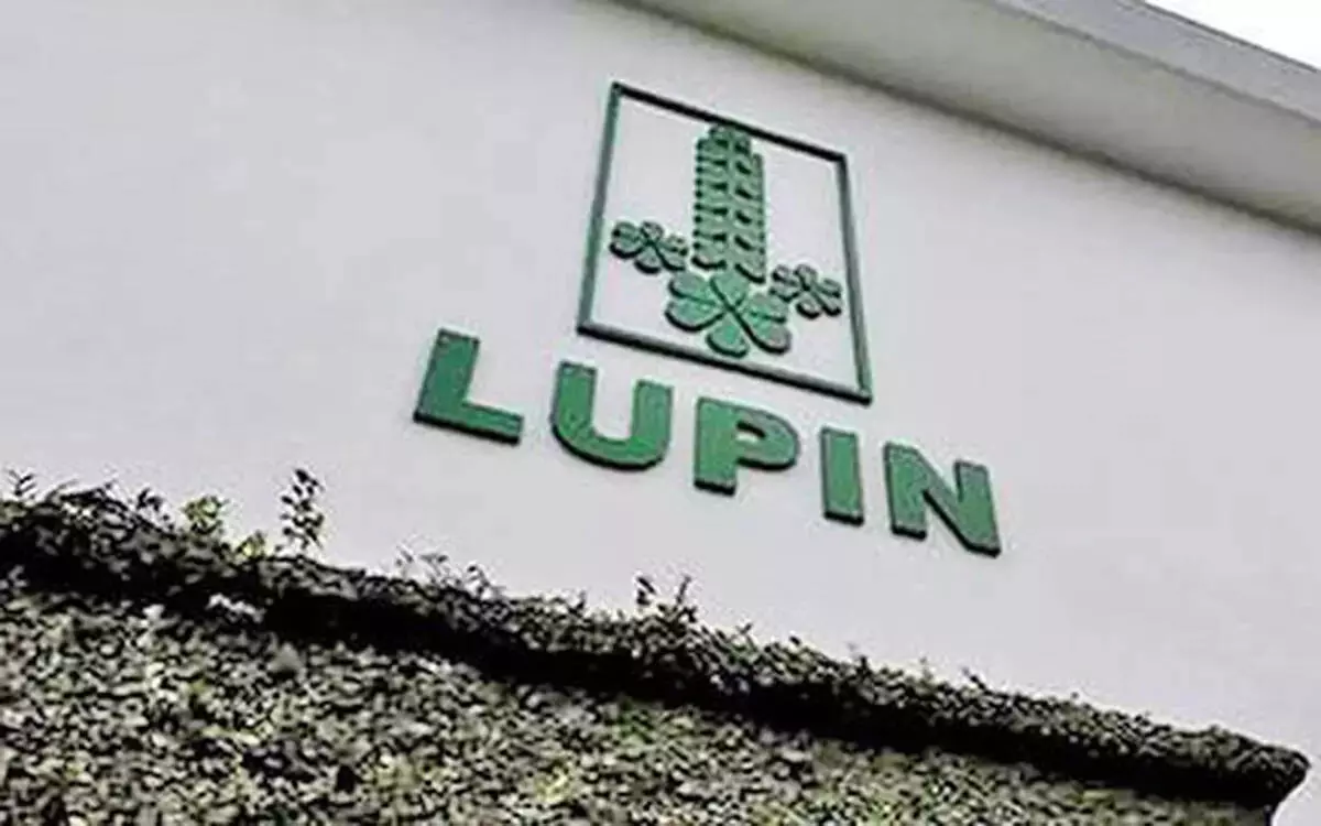 Lupin ने टेकेडा के साथ समझौता किया