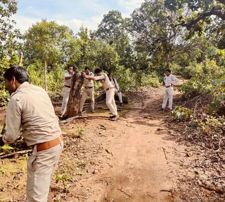 CG BREAKING: वन विभाग की उड़नदस्ता टीमों ने 23 के खिलाफ मामला दर्ज किया