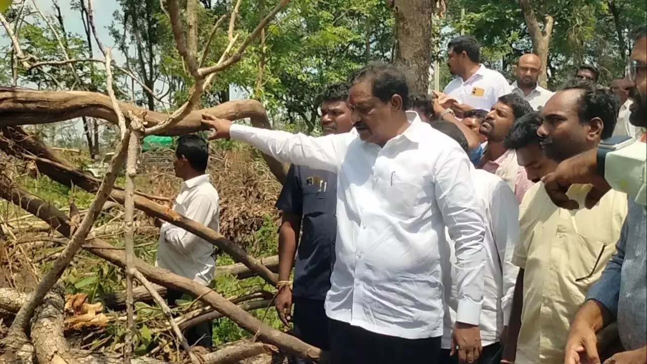 Podem Veeraiah: मुलुगु में बादल फटने से वन संपदा नष्ट हो गई