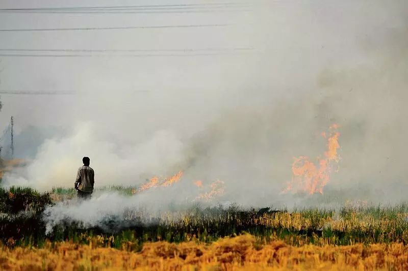 Jalandhar: प्रशासन ने पराली जलाने से रोकने के लिए रणनीति बनाई