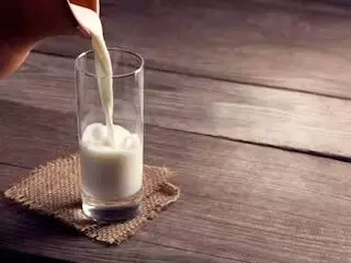 Milk कब पीना बेहतर होगा