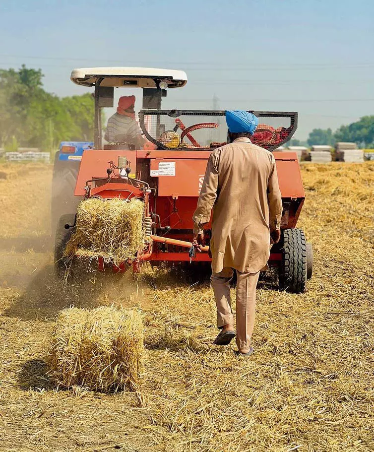 Punjab में पराली प्रबंधन नीति लागू, लेकिन इसे अपनाना चुनौती