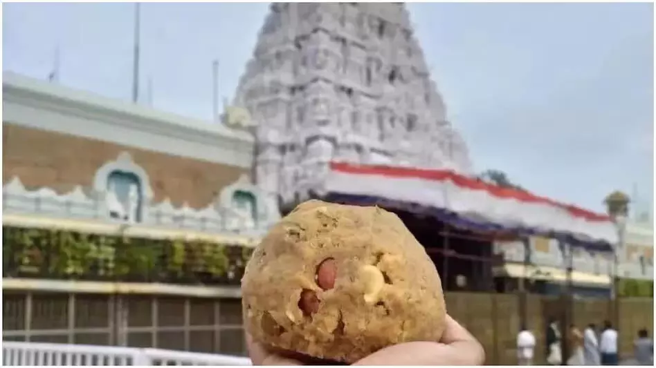 Tirupati Balaji Temple का प्रसाद बहुत खास होता