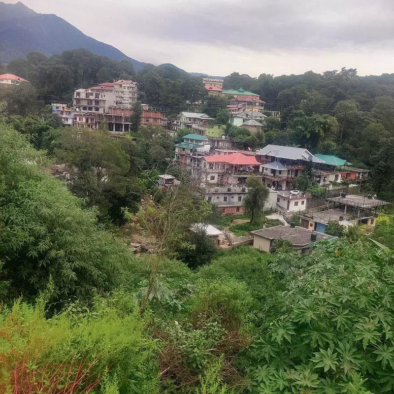 Palampur के विकास के लिए नगर निगम ने अभी तक मास्टर प्लान नहीं बनाया