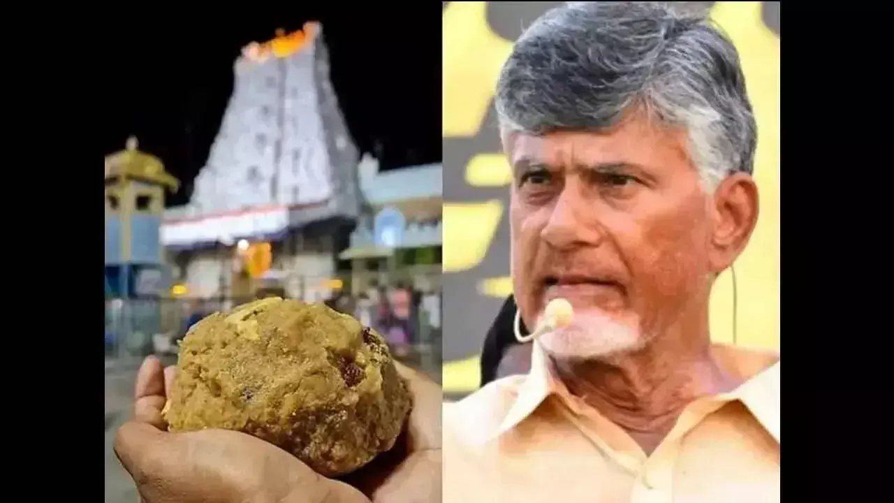 Tirumala लड्डू में मिलावट का मामला बड़ा विवाद बन गया