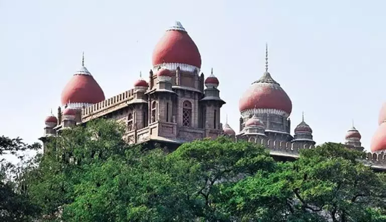 Telangana HC ने पबों द्वारा शोर मचाने के खिलाफ याचिका पर सुनवाई की