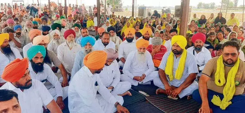 Punjab: पराली जलाने से होने वाली हानियों को रोकने के लिए बायोगैस संयंत्र की योजना में बाधा उत्पन्न