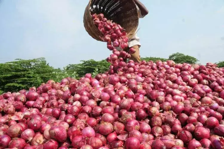 2023-24 में Onion उत्पादन में 20% और आलू उत्पादन में 5% की गिरावट