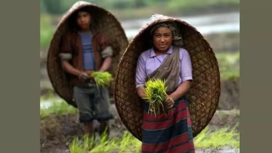 Meghalaya सरकार ने स्थानीय किसानों के लिए जैविक प्रमाणन निकाय का गठन किया