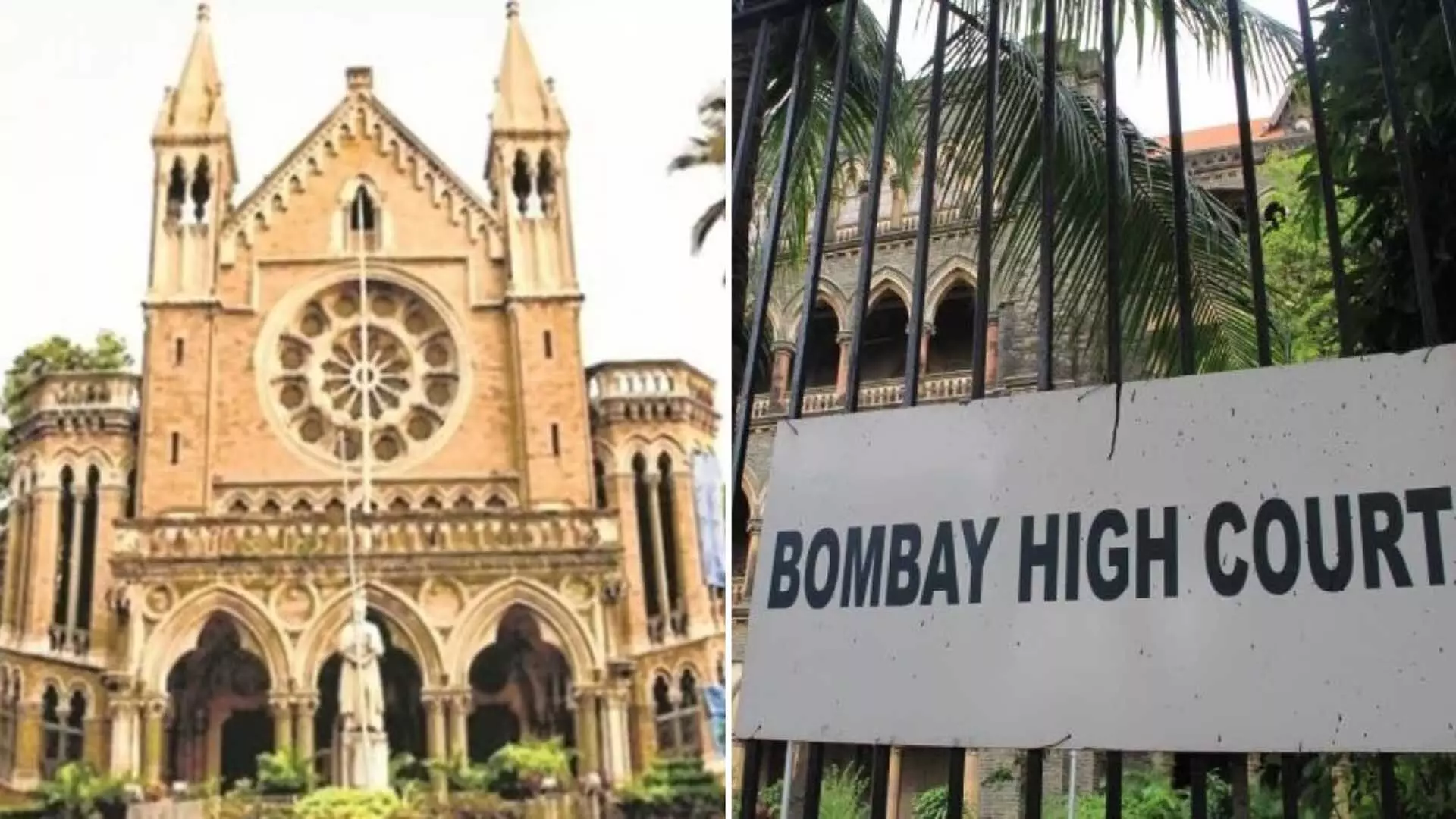 Bombay हाईकोर्ट ने मुंबई विश्वविद्यालय सीनेट चुनाव 24 सितंबर को पुनर्निर्धारित किया