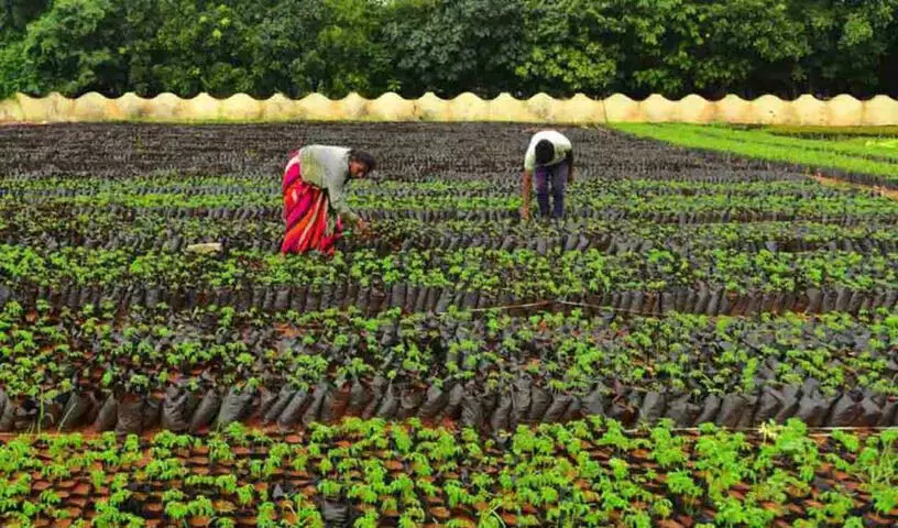 Warangal जिले के गांव को ग्राम स्वराज पुरस्कार के लिए चुना गया