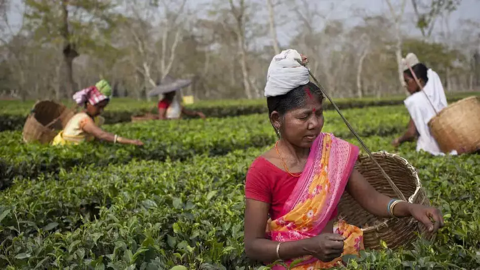 Assam महिलाओं को सशक्त बनाने और लैंगिक समानता पर एसडीजी लक्ष्य 5 को प्राप्त करने के लिए