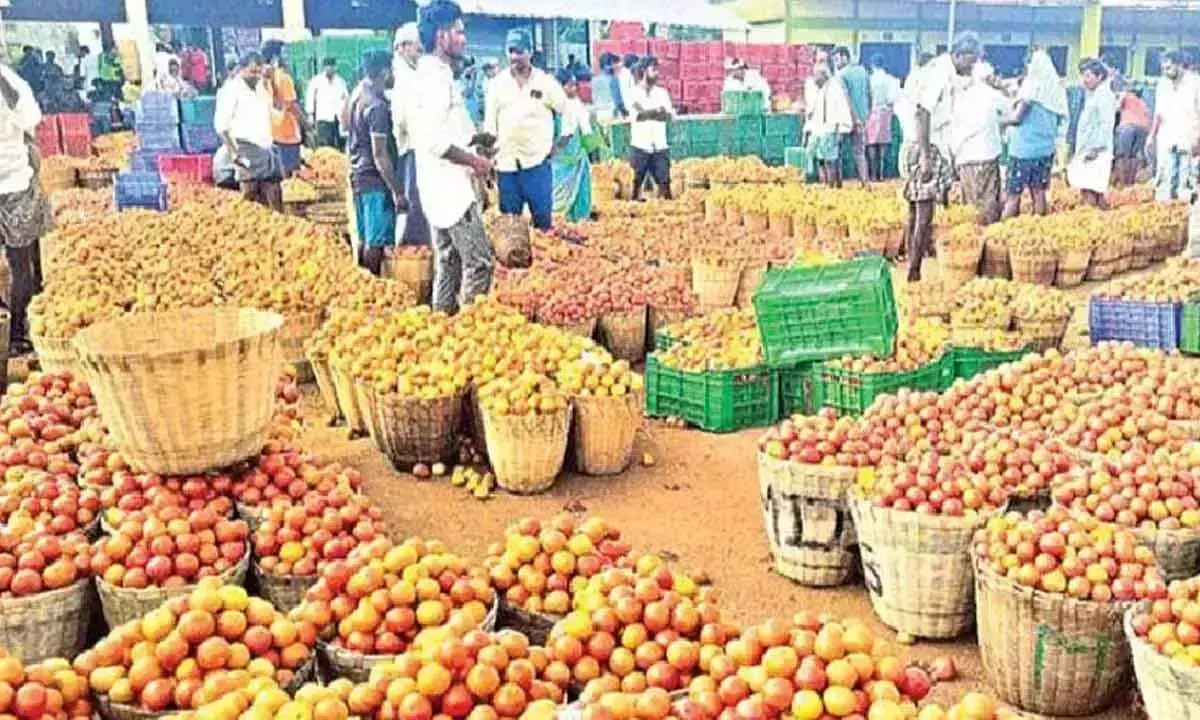 Andhra Pradesh: पथिकोंडा बाजार में टमाटर को मिला लाभकारी मूल्य