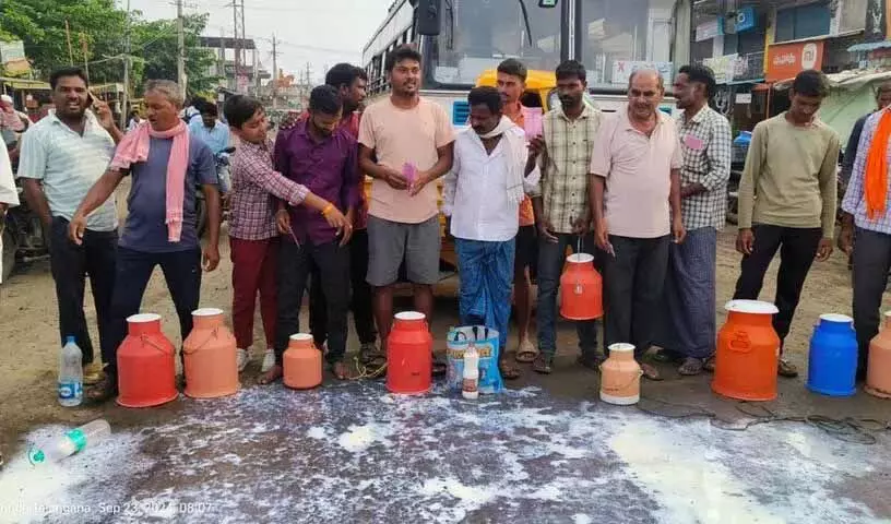 Adilabad: बिलों के भुगतान में देरी के विरोध में डेयरी किसानों ने सड़क पर फेंका दूध