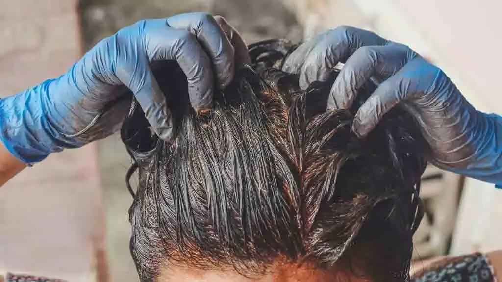 Hair Color: अपने बालों को प्राकृतिक रूप से भूरा, काला, लाल या सफेद रंग दें