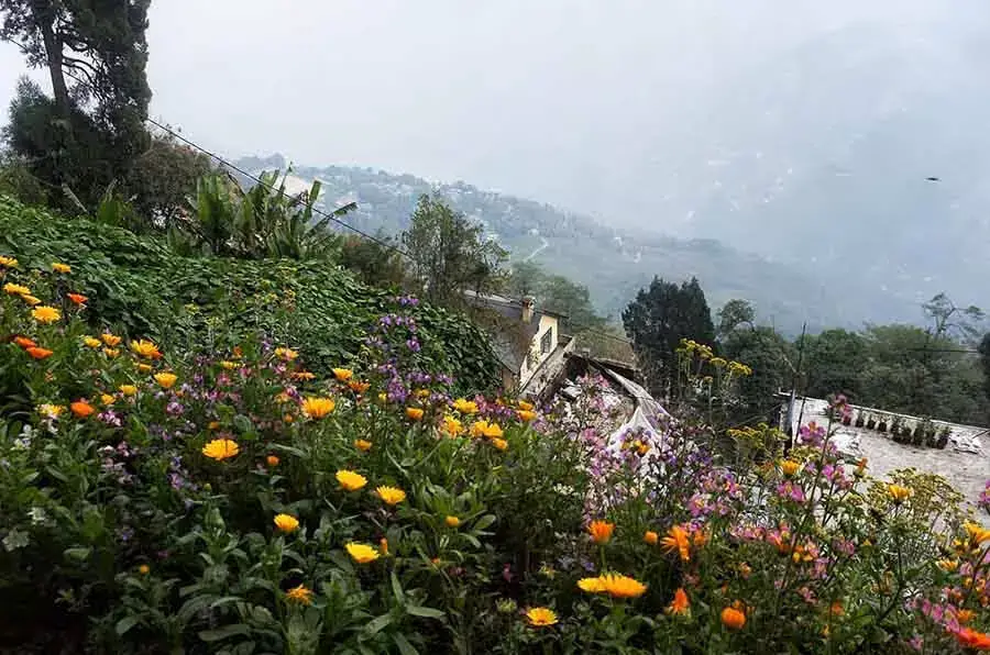 Darjeeling में उमस भरी हैट्रिक, क्षेत्र में अभूतपूर्व उच्च तापमान